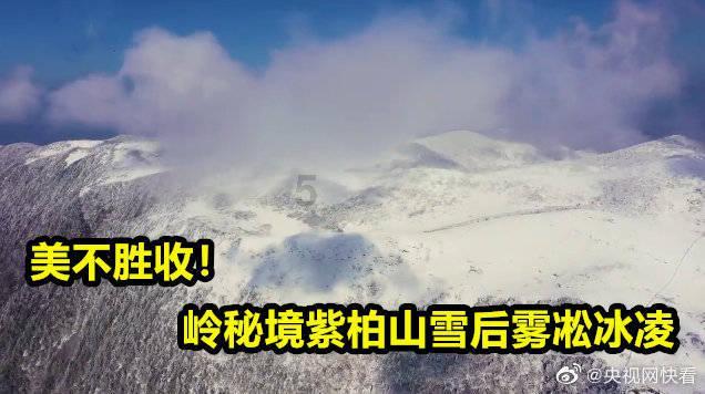 二级造价师教材pdf下载游戏画面